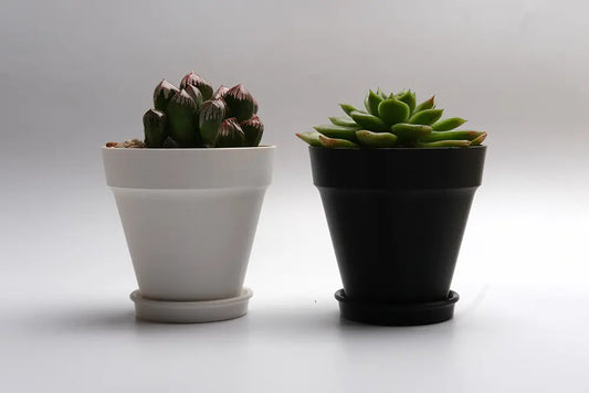 ASA (Acrylonitrile Styrene Acrylate)